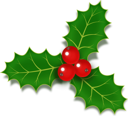 Holly PNG