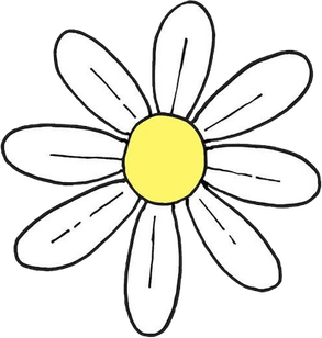 April Birth Flower PNG