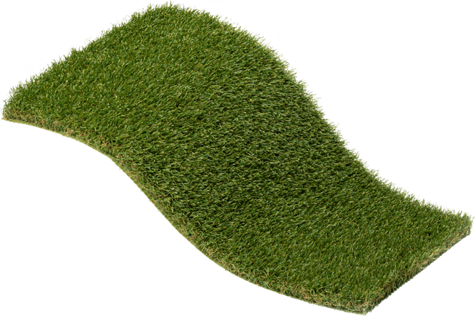 Green Carpet Grass PNG