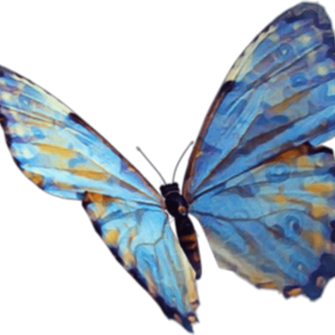 Butterfly Picsart PNG