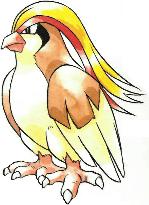 Pidgeotto Pokemon PNG