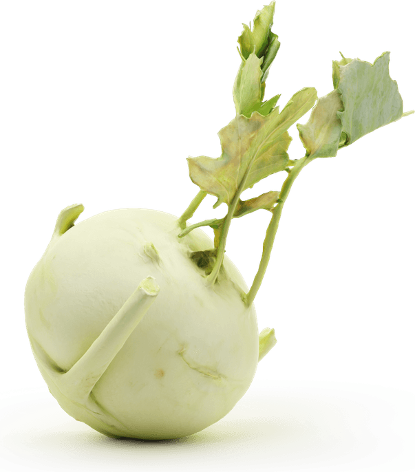 Kohlrabi PNG