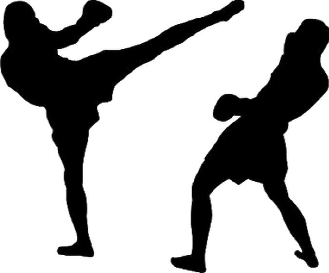 Mixed Martial Artist PNG