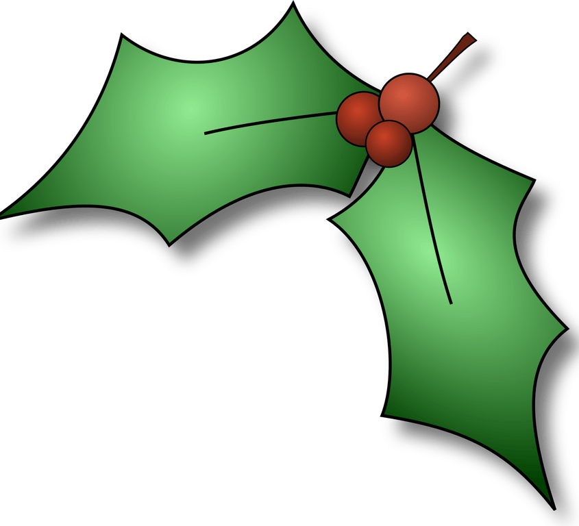 Holly PNG