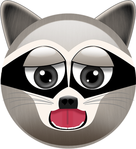 Raccoons PNG
