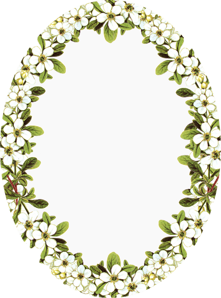 Oval Frame PNG