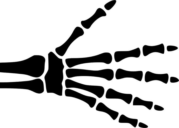 Skeleton Hand Drawing PNG