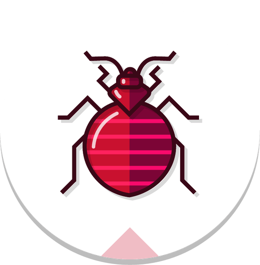 Bed Bugs PNG