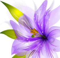 Purple Flower PNG