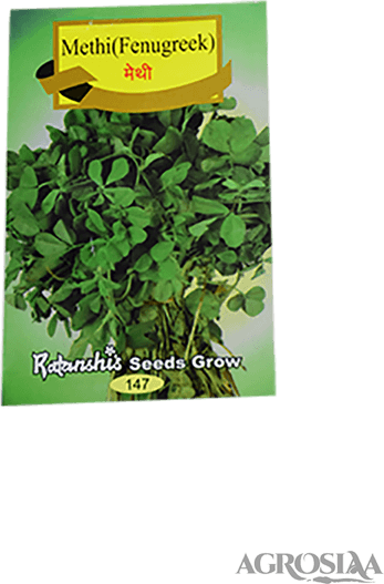 Fenugreek Leaf PNG