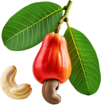 Cashew Apple PNG