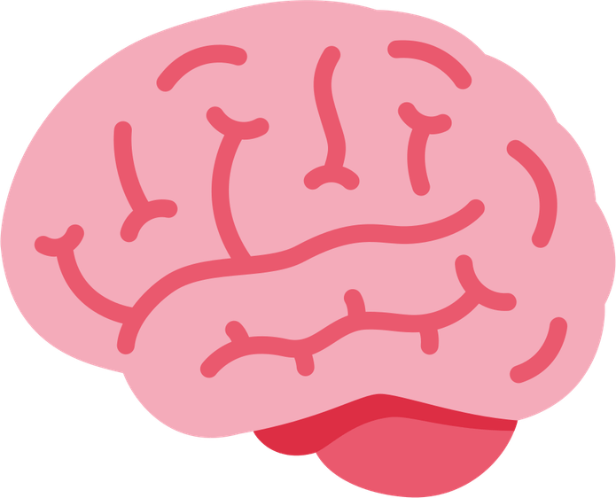 Brain Emoji PNG