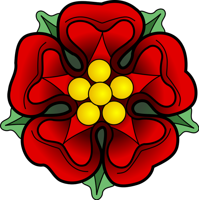 Mexican Flower PNG