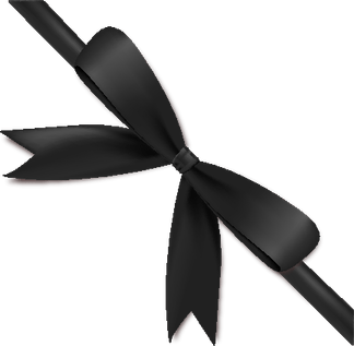 Black Bow PNG