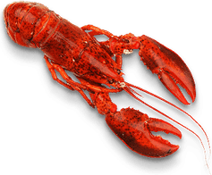 Lobster PNG
