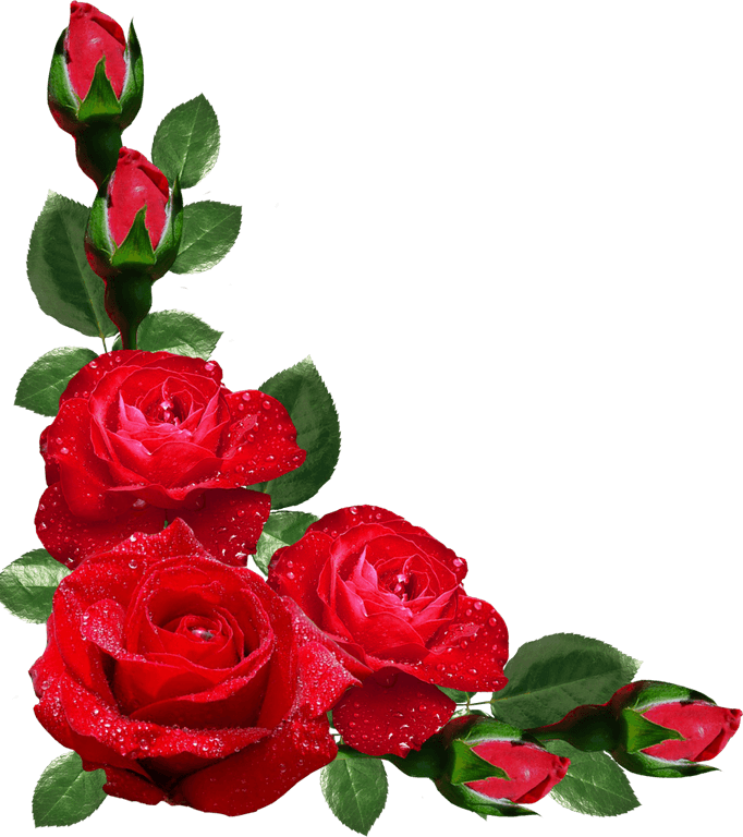 Red Roses Border PNG