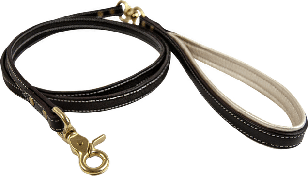Leash PNG