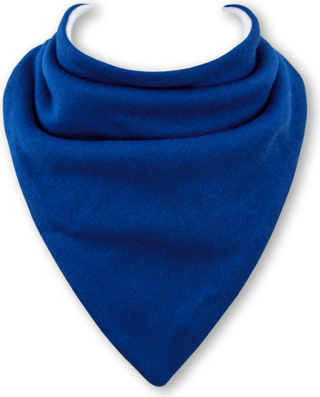 Blue Bandana PNG