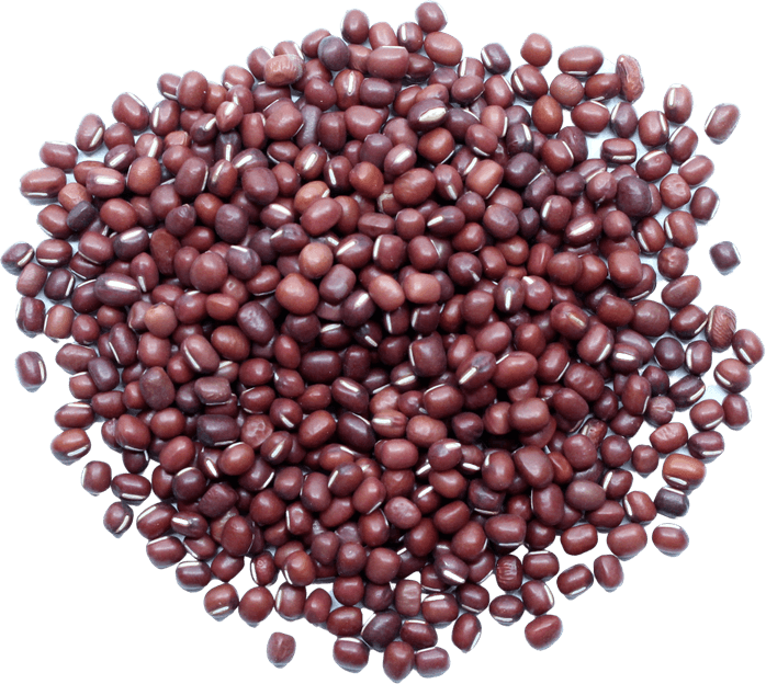 Adzuki Beans PNG