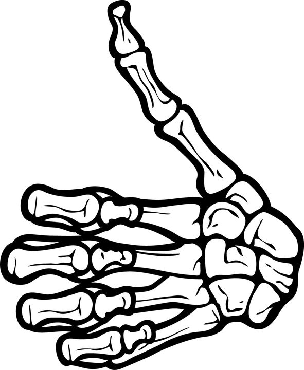 Skeleton Hand PNG