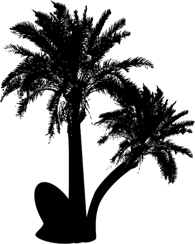 Date Palm PNG