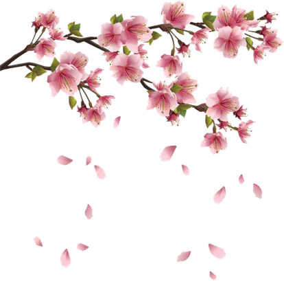Spring PNG