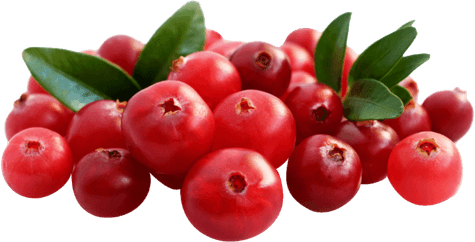 Cranberry PNG
