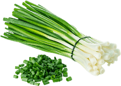 Spring Onions PNG