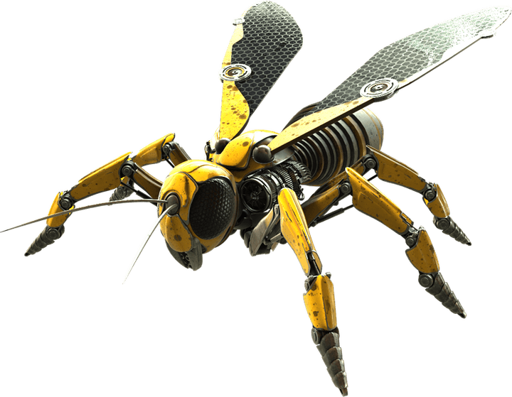 Wasp Insect PNG