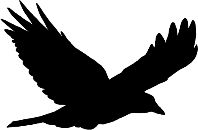 Birds Flying PNG