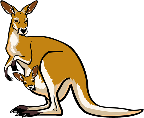 Australia Kangaroo PNG
