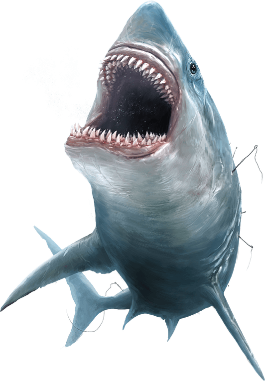 Megalodon PNG