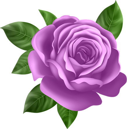 Purple Rose PNG
