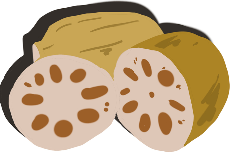 Lotus Stem PNG