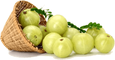 Indian Gooseberry PNG