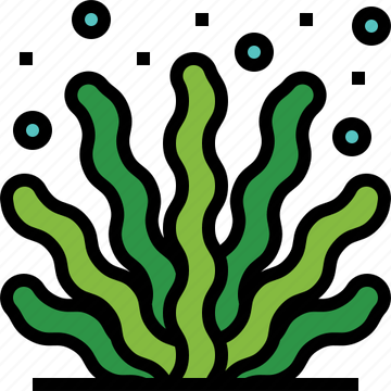 Algae PNG