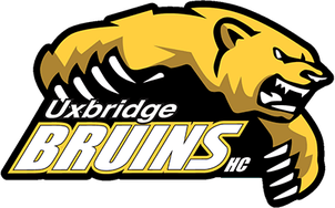 Bruins Logo PNG