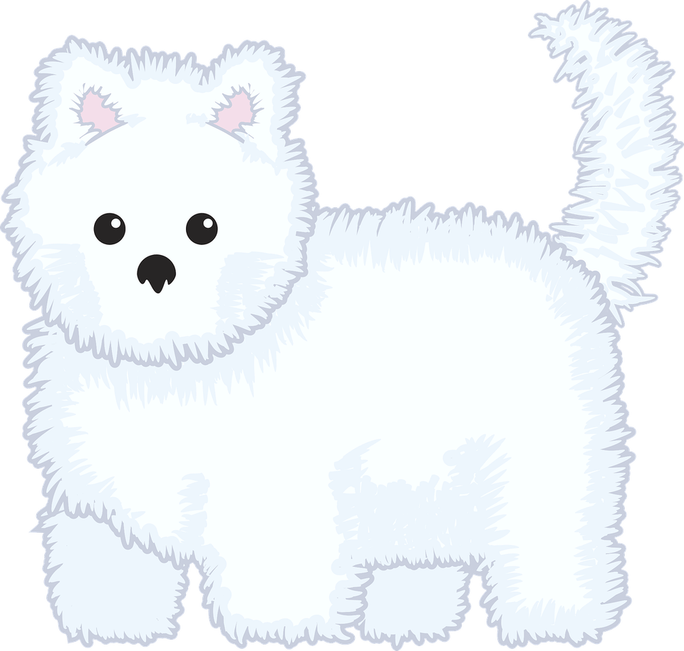 Small White Dog PNG