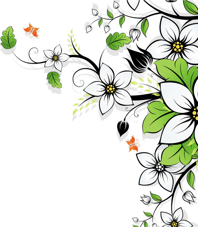 Colourful Flower Border PNG
