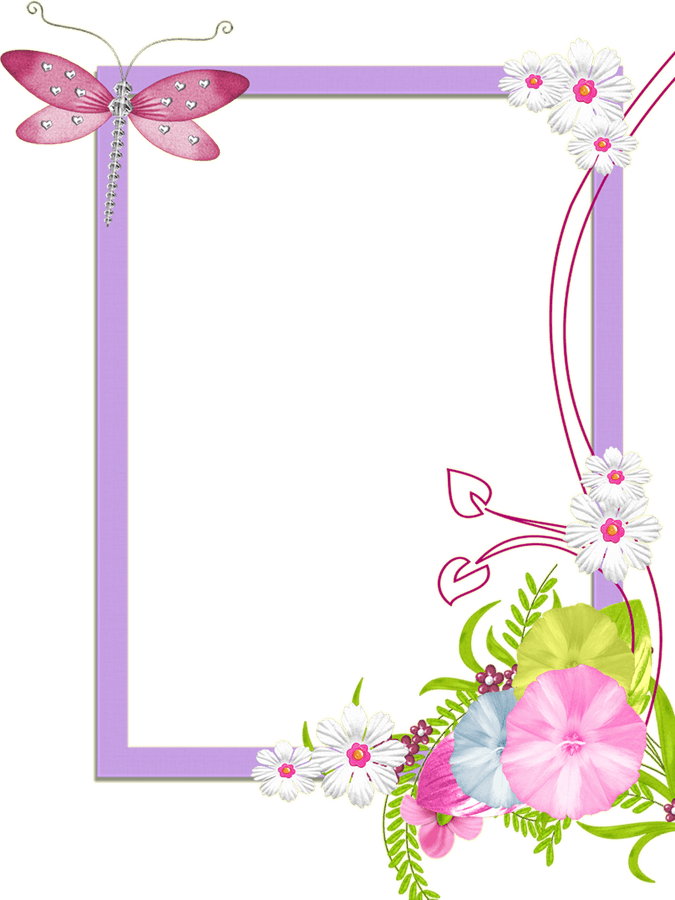 Spring Border PNG