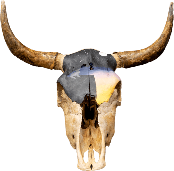 Western Bull Skull PNG