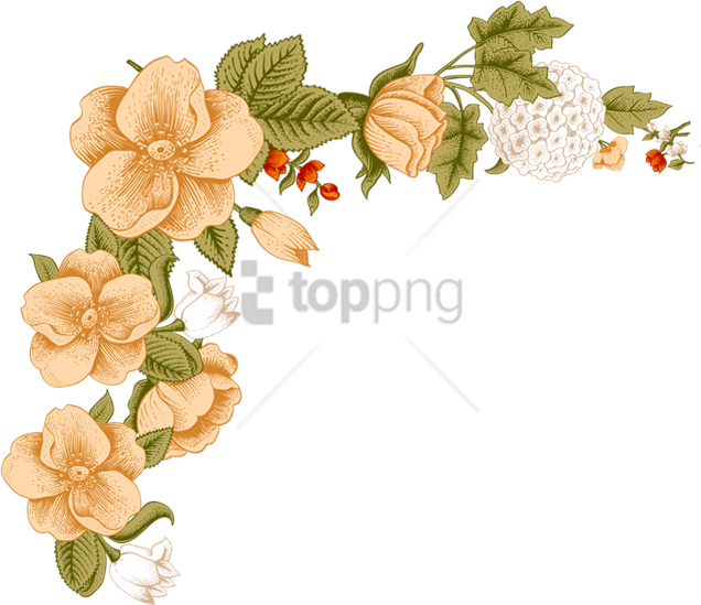 Peach Flower Border PNG