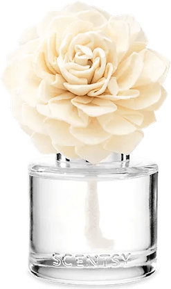Dainty Flower PNG