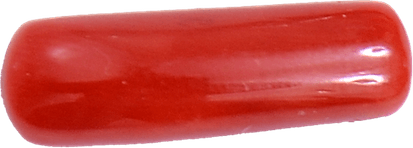 Red Coral PNG