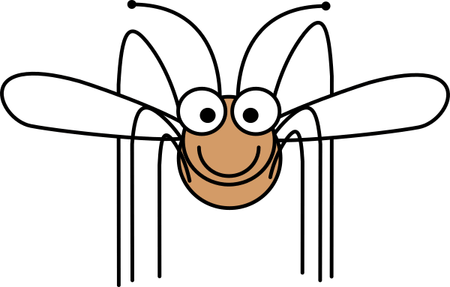 Crane Fly PNG