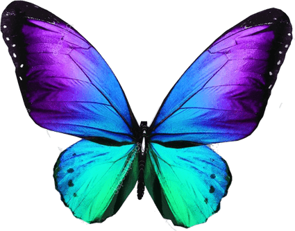 Watercolor Purple Butterfly PNG