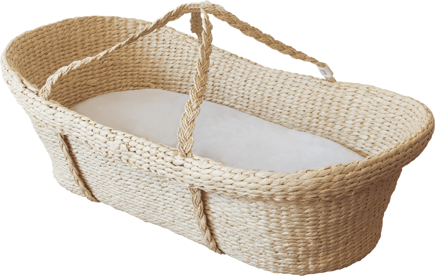 Baby Basket PNG