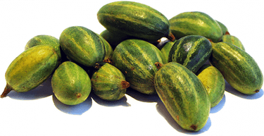 Pointed Gourd PNG