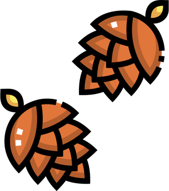 Pine Cone PNG