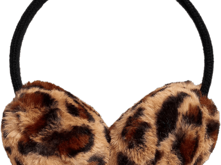 Leopard Print PNG